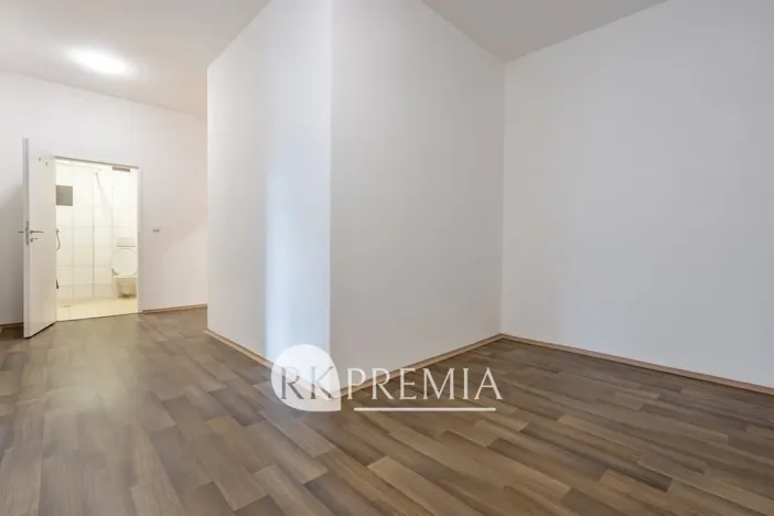 Pronájem bytu 3+1, Teplice, U Hadích lázní, 115 m2