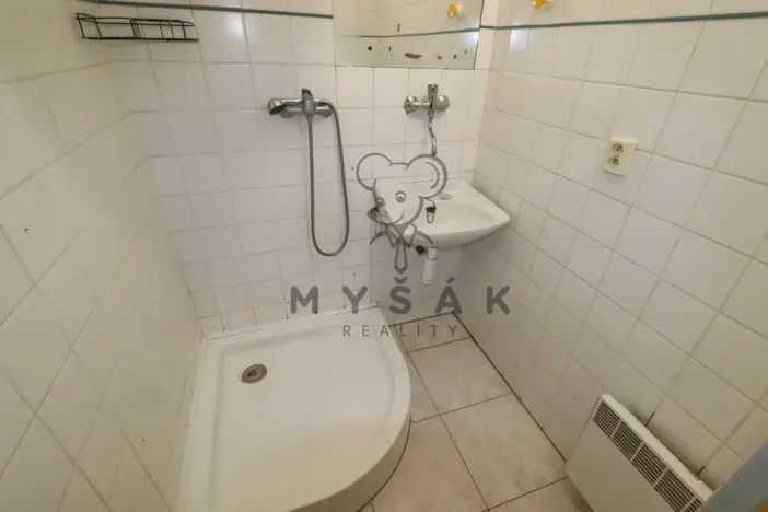 Pronájem bytu 3+1, České Budějovice - České Budějovice 3, Fráni Šrámka, 58 m2