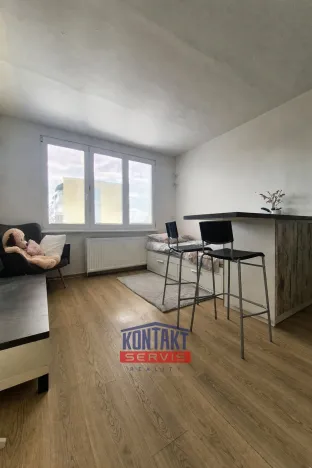 Pronájem bytu 1+kk, České Budějovice, Puklicova, 21 m2