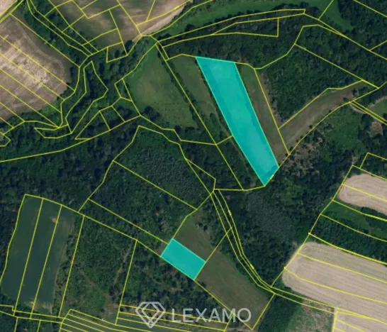 Prodej podílu 1/2 pole, Černín, 54498 m2