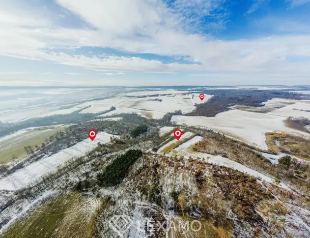 Prodej podílu 1/2 pole, Běhařovice - Ratišovice, 54498 m2