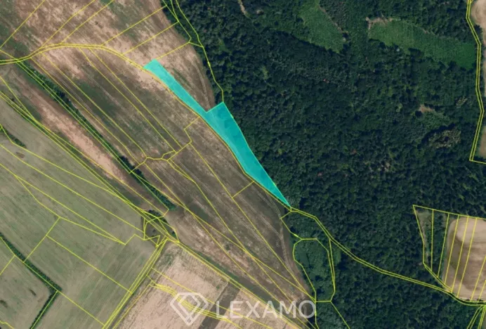 Prodej podílu 1/2 pole, Běhařovice - Ratišovice, 54498 m2