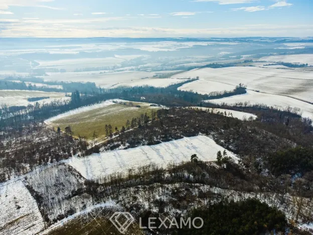 Prodej podílu 1/2 pole, Běhařovice - Ratišovice, 54498 m2