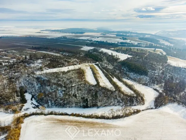 Prodej podílu 1/2 pole, Běhařovice - Ratišovice, 54498 m2
