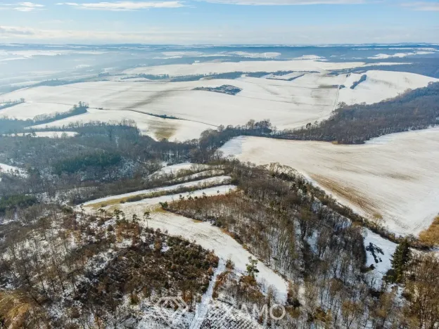 Prodej podílu 1/2 pole, Běhařovice - Ratišovice, 54498 m2