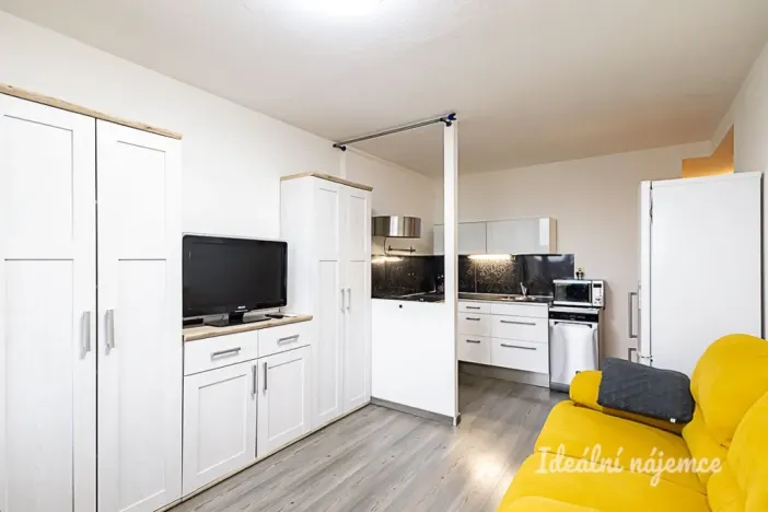Pronájem bytu 2+kk, Praha - Karlín, Nekvasilova, 40 m2