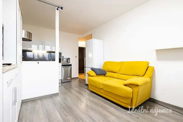Pronájem bytu 2+kk, Praha - Karlín, Nekvasilova, 40 m2
