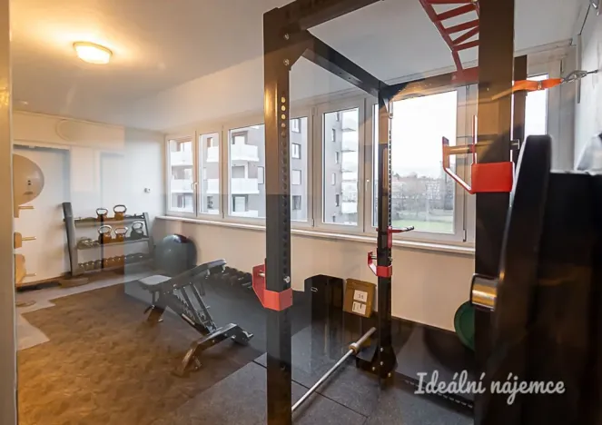 Pronájem bytu 2+kk, Praha - Karlín, Nekvasilova, 40 m2