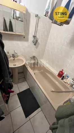 Pronájem bytu 1+1, Brno, Palackého třída, 40 m2