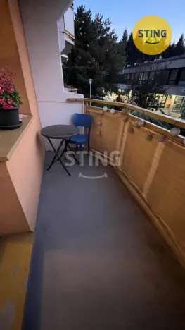 Pronájem bytu 1+1, Brno, Palackého třída, 40 m2