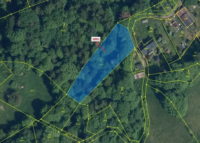 Dražba lesa, Semily, 1939 m2