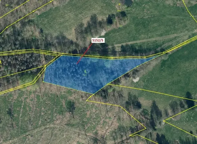 Dražba lesa, Mikulášovice, 4741 m2