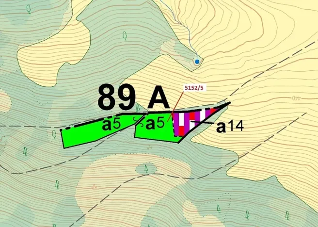 Dražba lesa, Mikulášovice, 4741 m2