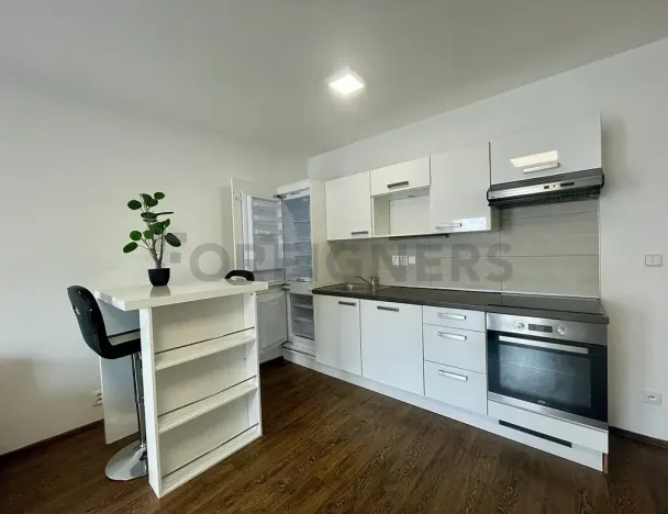 Pronájem bytu 2+kk, Brno, Bratislavská, 56 m2