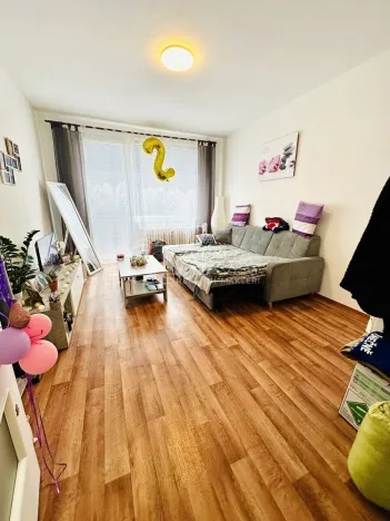 Pronájem bytu 1+kk, Strakonice - Strakonice I, Ellerova, 26 m2