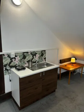 Pronájem bytu 1+kk, Havlíčkův Brod, Na Losích, 40 m2