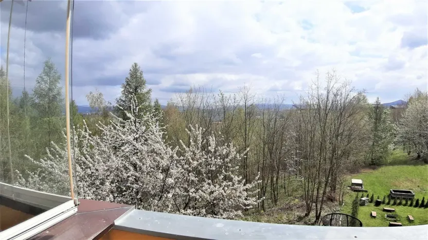 Pronájem bytu 1+1, Teplice - Nová Ves, Březová, 27 m2