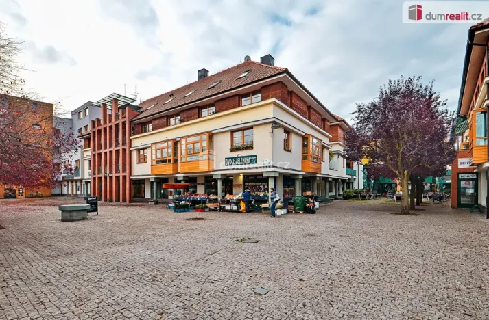 Pronájem bytu 1+kk, Dobřichovice, Palackého, 20 m2