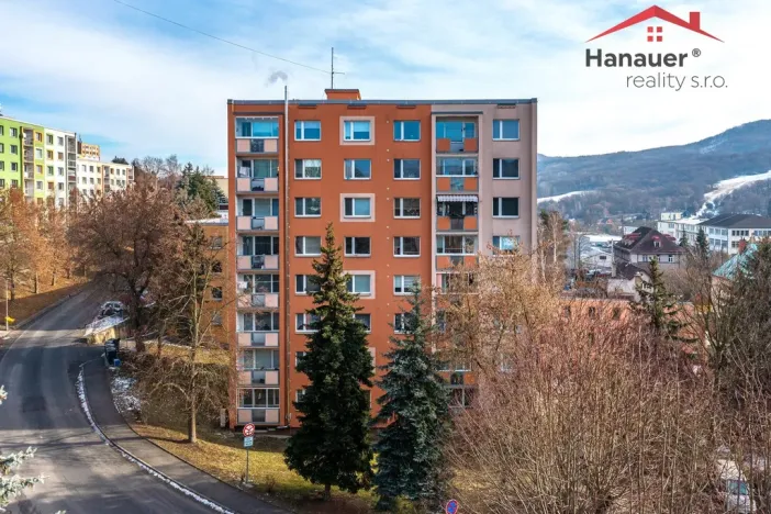 Prodej bytu 3+1, Jílové - Kamenná, Lipová, 77 m2