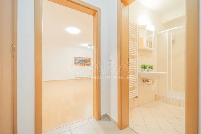 Prodej bytu 1+kk, Praha - Podolí, Jeremenkova, 35 m2