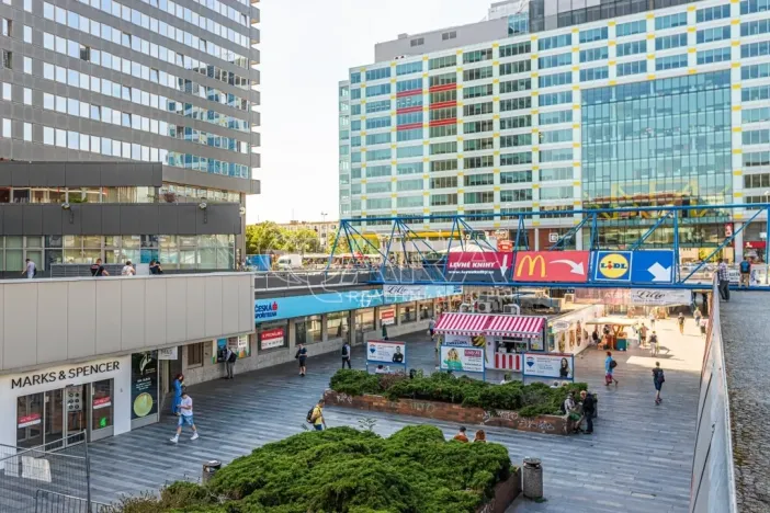 Prodej bytu 1+kk, Praha - Podolí, Jeremenkova, 35 m2