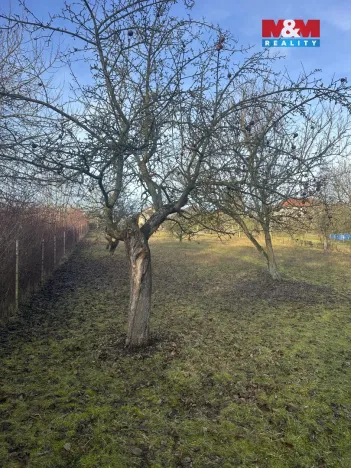 Prodej pozemku pro bydlení, Oskořínek, Ronovská, 1729 m2