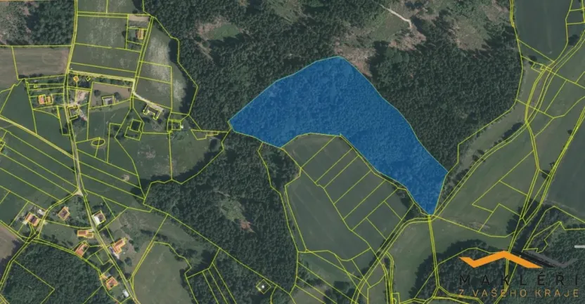 Prodej lesa, Horní Radouň - Nový Bozděchov, 50537 m2