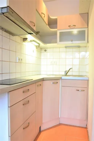 Pronájem bytu 1+kk, Brno - Veveří, Žižkova, 25 m2