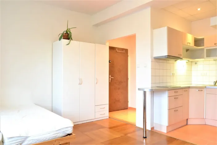 Pronájem bytu 1+kk, Brno - Veveří, Žižkova, 25 m2