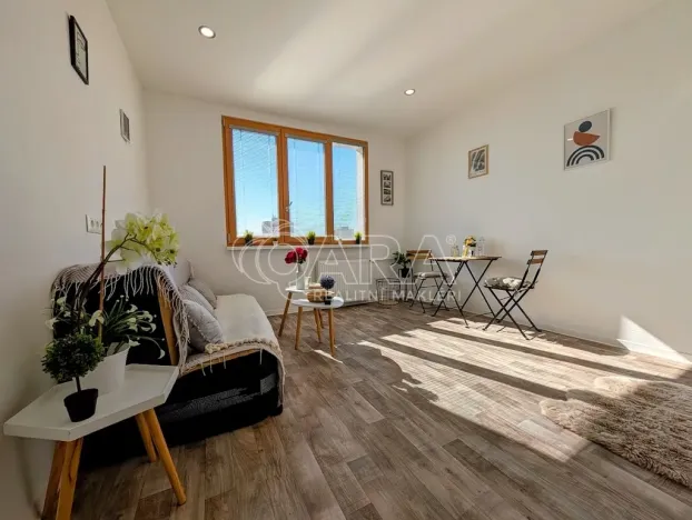 Prodej bytu 1+kk, Plzeň - Doudlevce, Šimerova, 21 m2