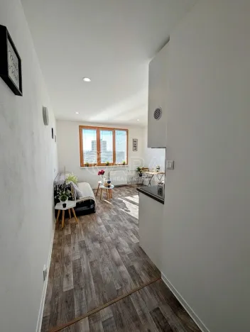 Prodej bytu 1+kk, Plzeň - Doudlevce, Šimerova, 21 m2