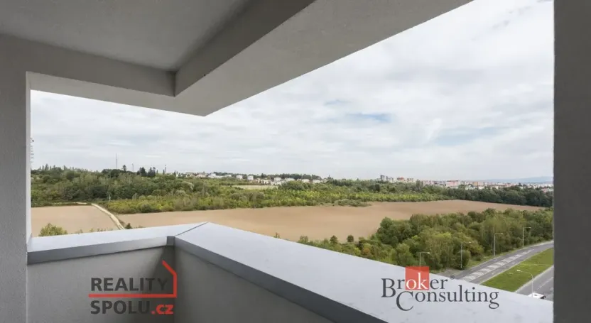 Prodej bytu 2+kk, Plzeň - Severní Předměstí, Na Chmelnicích, 50 m2