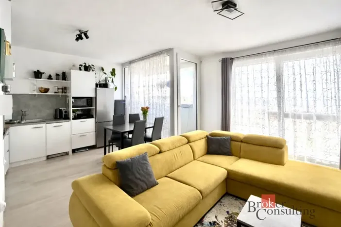 Prodej bytu 2+kk, Plzeň - Severní Předměstí, Na Chmelnicích, 50 m2