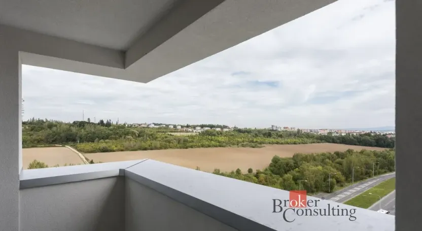 Prodej bytu 2+kk, Plzeň - Severní Předměstí, Na Chmelnicích, 50 m2