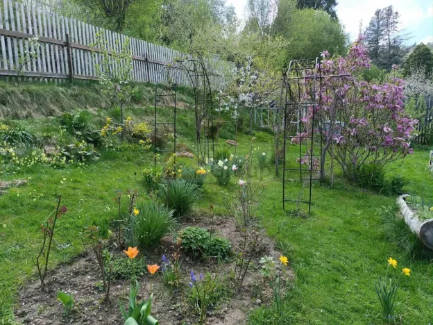 Prodej zahrady, Žlutice, Smetanova, 569 m2