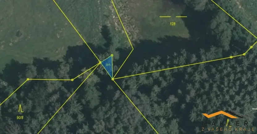 Prodej rybníku, Horní Radouň - Starý Bozděchov, 12120 m2