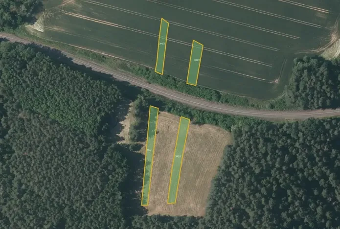 Prodej pole, Mladotice, 11461 m2