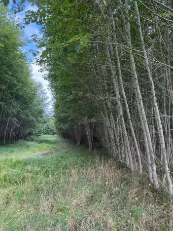 Prodej pole, Česká Kamenice, 108179 m2