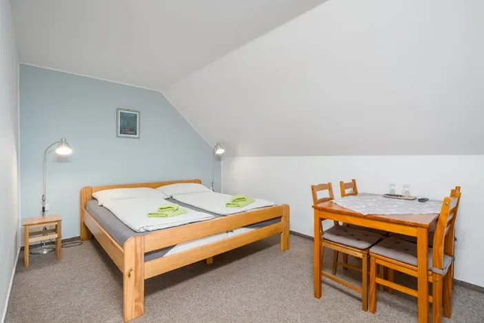 Prodej ubytování, Nový Bor - Janov, 200 m2