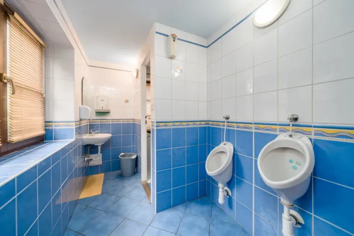 Prodej ubytování, Nový Bor - Janov, 280 m2