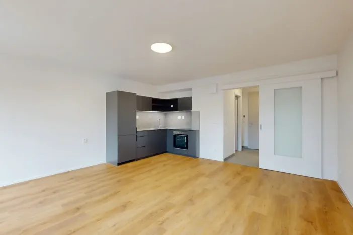 Pronájem bytu 1+kk, Ostrava - Moravská Ostrava, Sadová, 35 m2