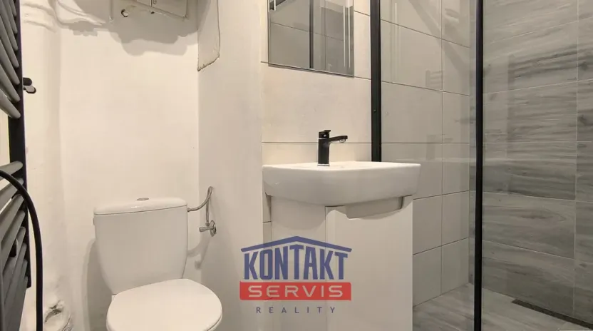 Prodej bytu 1+1, Písek - Budějovické Předměstí, Táborská, 27 m2