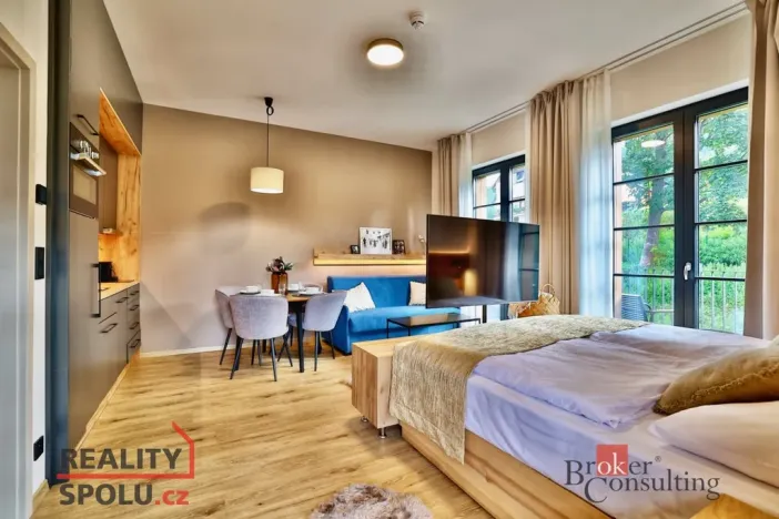 Prodej bytu 1+kk, Černý Důl, 39 m2