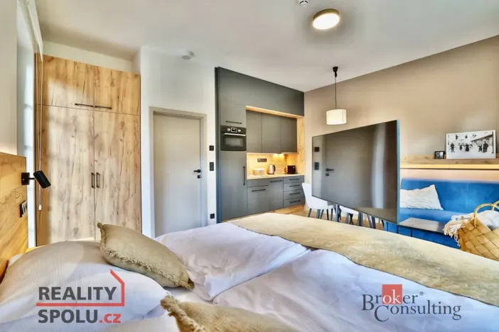 Prodej bytu 1+kk, Černý Důl, 39 m2