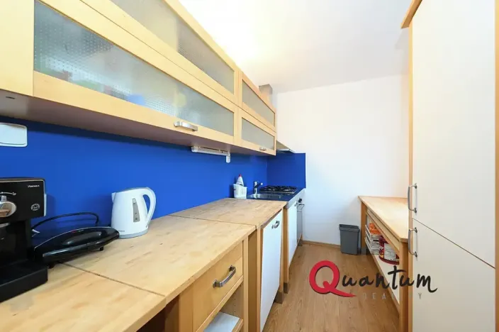 Prodej bytu 2+kk, Praha - Žižkov, Pod lipami, 61 m2