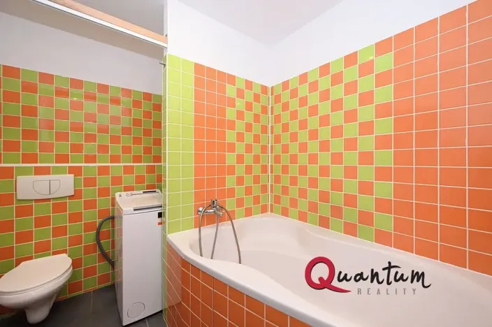 Prodej bytu 2+kk, Praha - Žižkov, Pod lipami, 61 m2