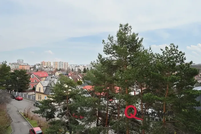 Prodej bytu 2+kk, Praha - Žižkov, Pod lipami, 61 m2