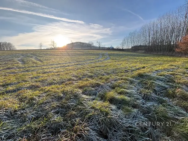Prodej komerčního pozemku, Velká Bukovina, 20188 m2