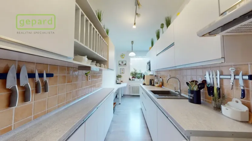 Prodej bytu 2+1, Ústí nad Labem - Neštěmice, Železná, 62 m2