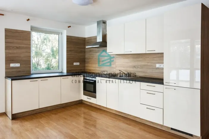 Pronájem rodinného domu, Hlincová Hora, Kodetka Okružní, 290 m2